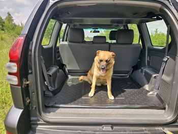 Półka wyprawowa Toyota Land Cruiser J120, 5 drzwi z profili